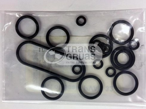 Despiece para Danfoss