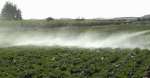 Atomizador suspendido para hortalizas y verduras