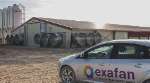 Transfilella - Proyecto de dos naves para engorde de pollos de 120 x 15 junto a nave de oficinas con vestuarios y una nave estercolero , con previsión de ampliación de 6 naves mas