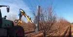 Prepodadora profesional de doble cuchilla 4000A. Hedging en almendro.