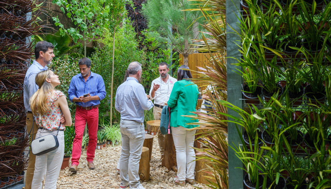 En 2025, Iberflora habilitará un espacio exclusivo para trabajo y descanso destinado tanto a los profesionales invitados como a la prensa... En 2025, Iberflora habilitará un espacio exclusivo para trabajo y descanso destinado tanto a los profesionales invitados como a la prensa...